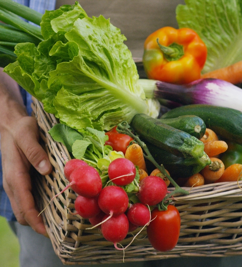 Fresh vegetables in a basket