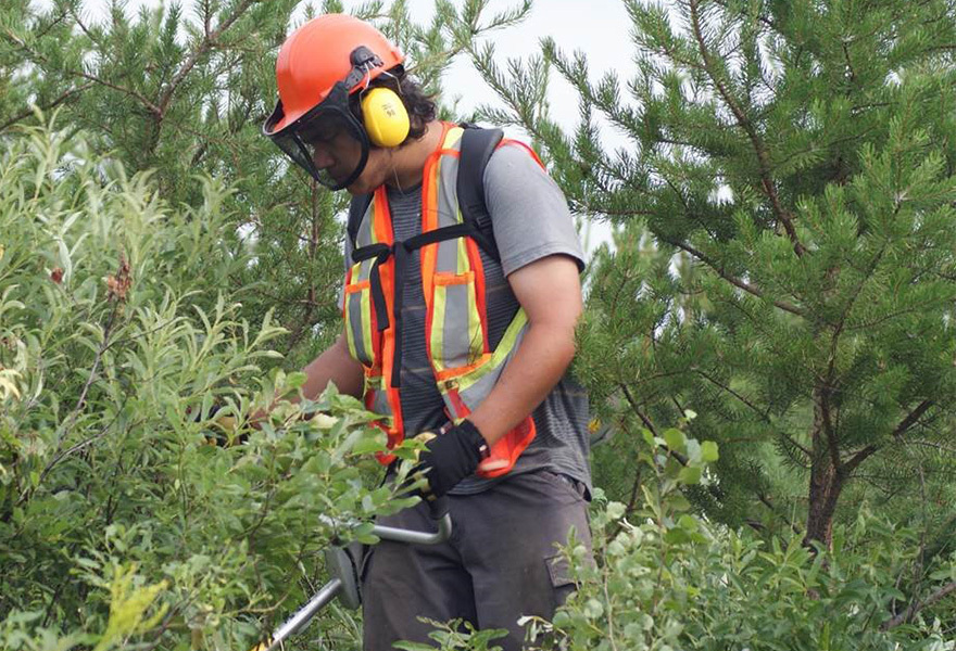 Man in hard hat cutting trees in forest