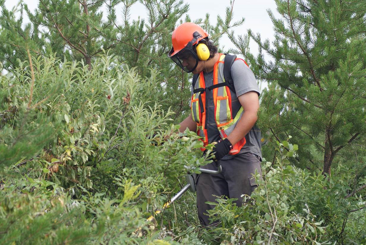 man with ear protective and safety equipment clearing brush