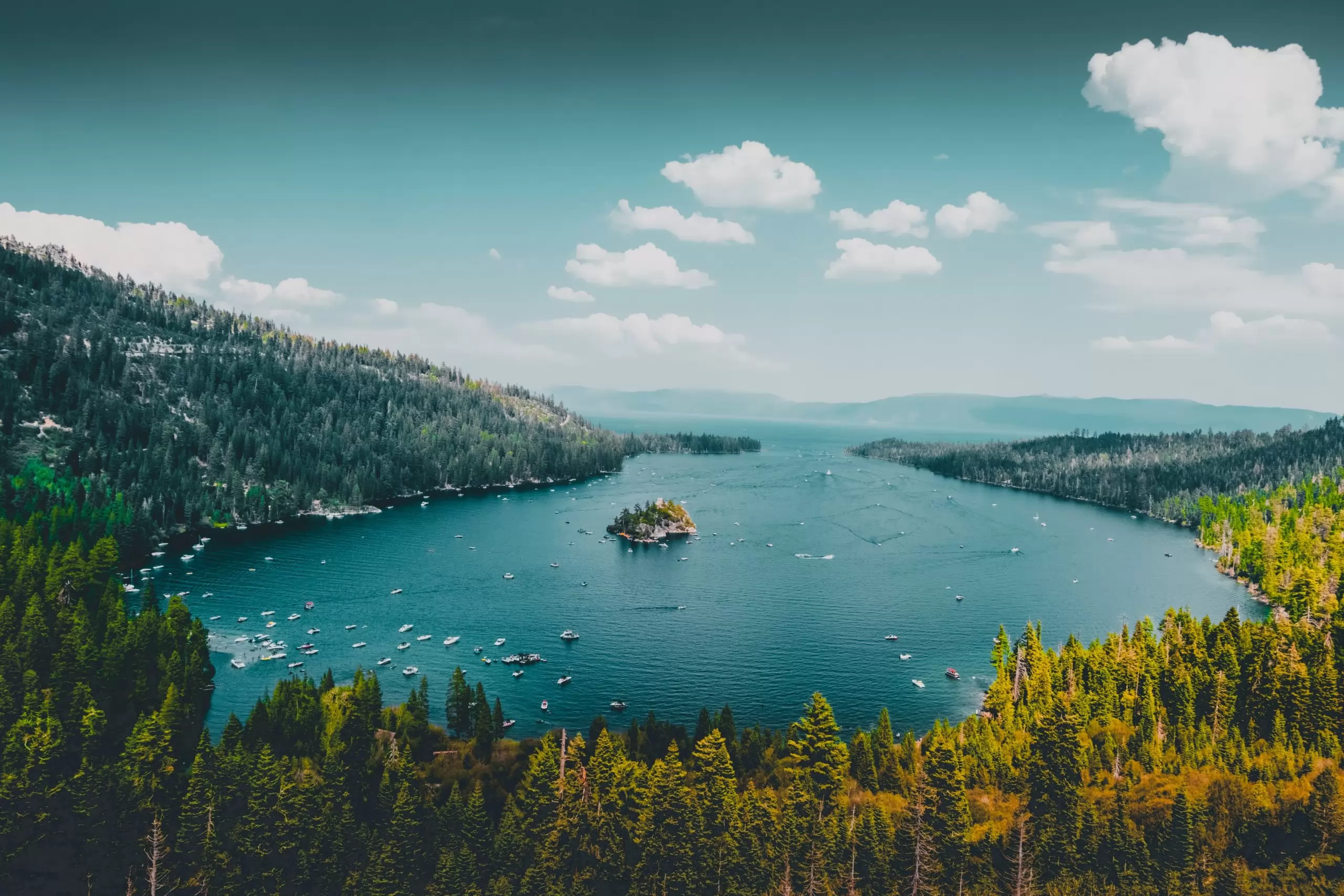 Over view of trees surrounding a lake