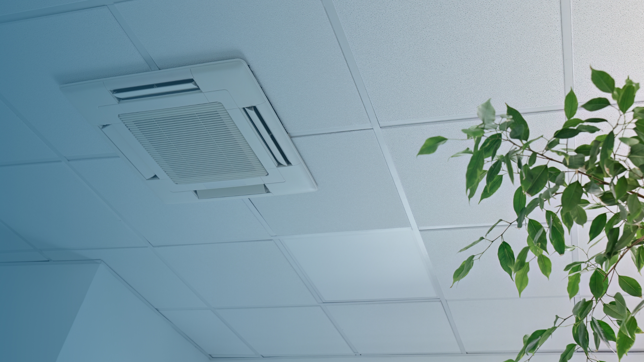 Ways to improve indoor air quality in buildings